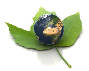 מיחזור תכולת דירה