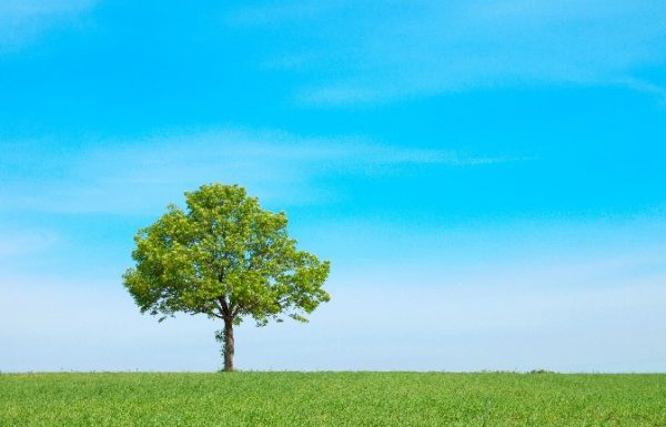 שומרים על הסביבה