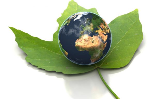 מיחזור תכולת דירה